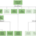 Ontologie RDA-FR – publication de la version 0.2.0 : Manifestation, Lieu et référentiels